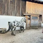 Sieglhub Chalets - Appartements - Hotel