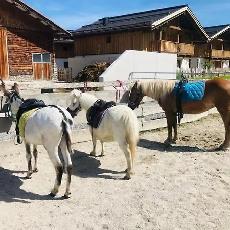 Sieglhub - - 酒店 弗拉绍