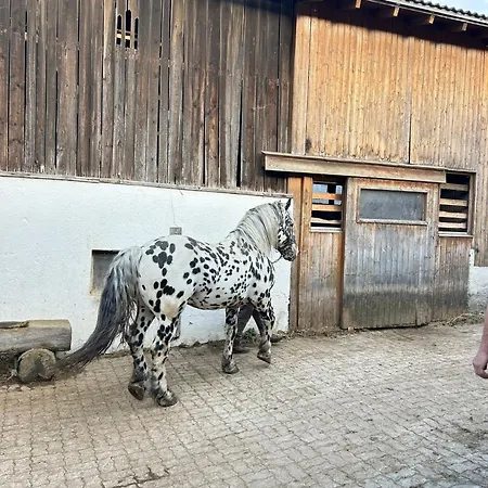 Sieglhub Chalets - Appartements - Hotel