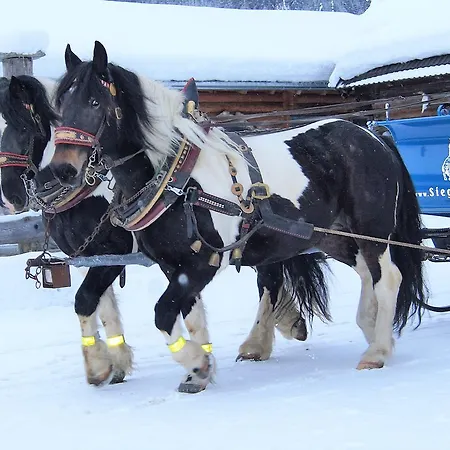 מלון Sieglhub - - 3*