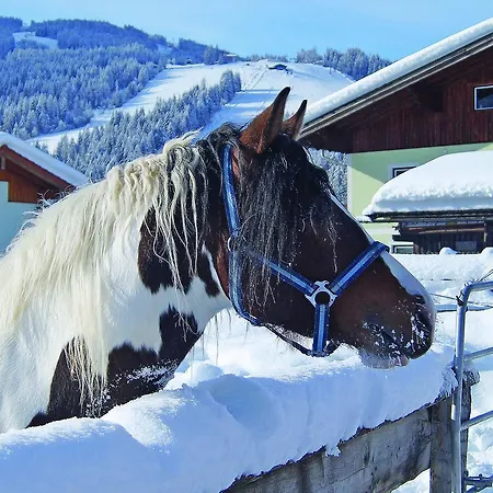 Sieglhub Chalets - Appartements - Hotel Flachau