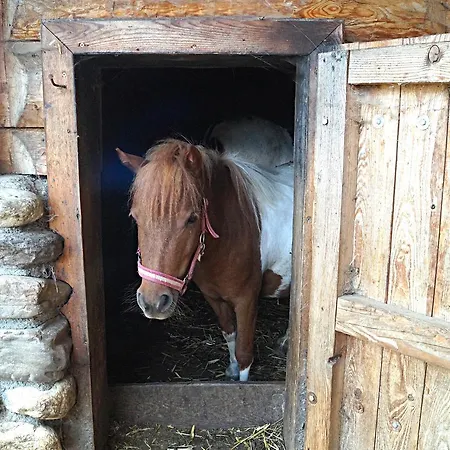 Sieglhub - - מלון 3*