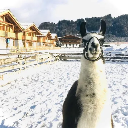Otel Sieglhub - - Flachau