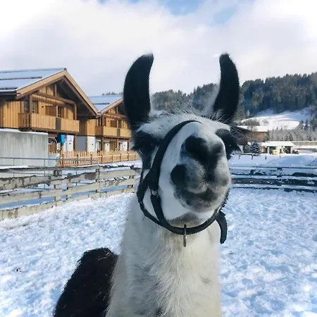 Sieglhub Chalets - Appartements - Hotel