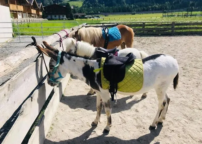 Hotel Sieglhub Chalets - Appartements - Hotel