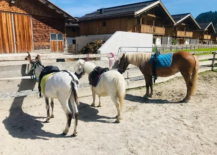 Sieglhub - - Hotel Flachau