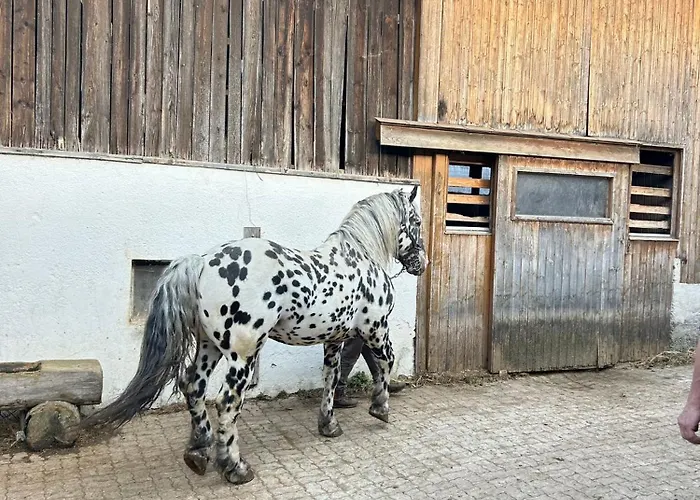 Sieglhub Chalets - Appartements - Hotel