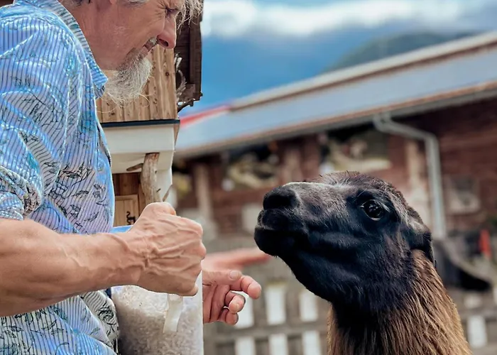 Sieglhub Chalets - Appartements - Hotel 3*