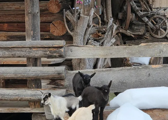 Sieglhub Chalets - Appartements - Hotel