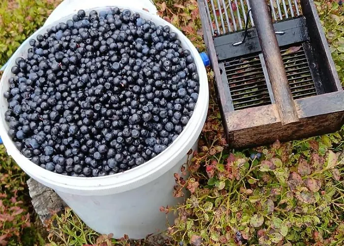 Hotel Sieglhub Chalets - Appartements - Hotel Flachau