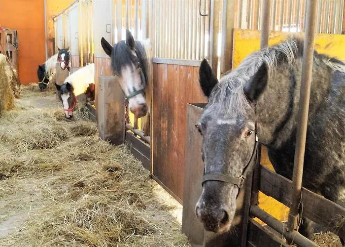 Szálloda Sieglhub - - Flachau