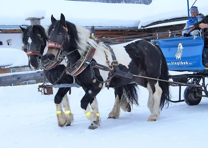 Hotel Sieglhub Chalets - Appartements - Hotel 3*