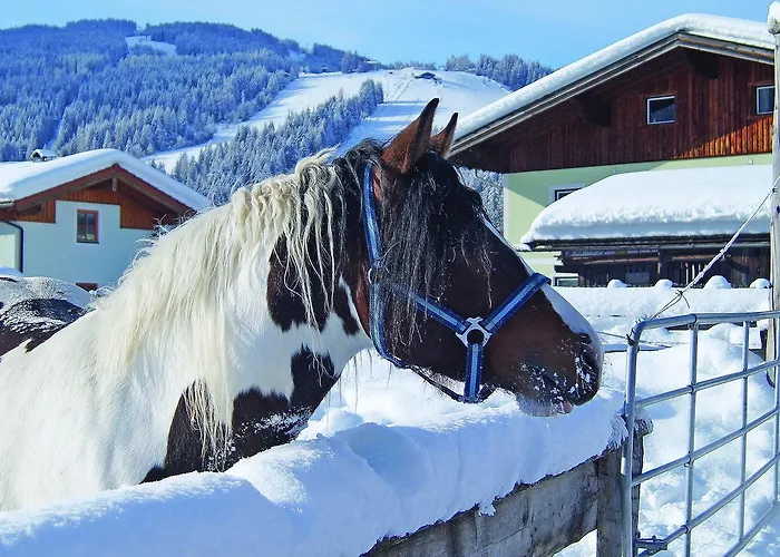 Sieglhub - - Flachau