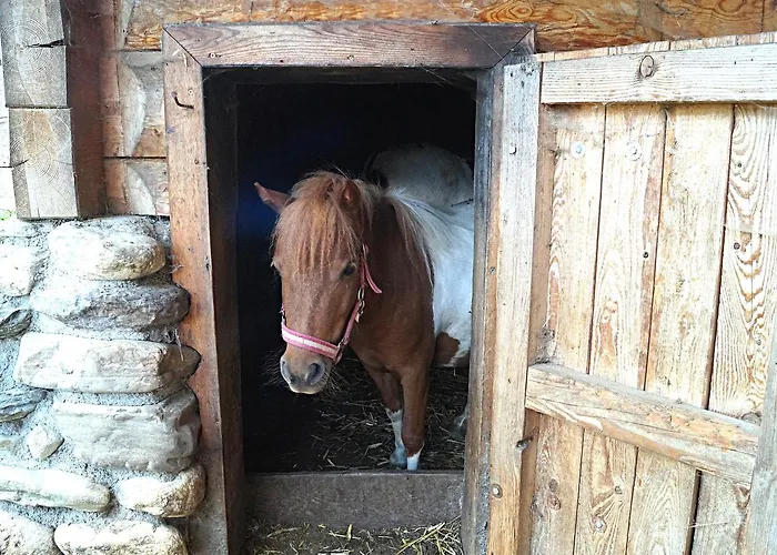 Sieglhub Chalets - Appartements - Hotel Hotel 3*