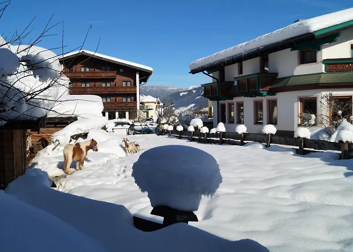 Sieglhub - - Flachau