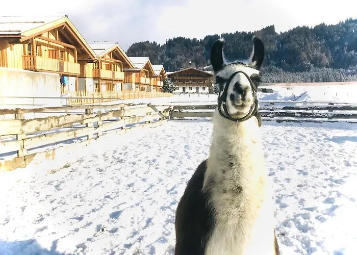 Szálloda Sieglhub - - Flachau