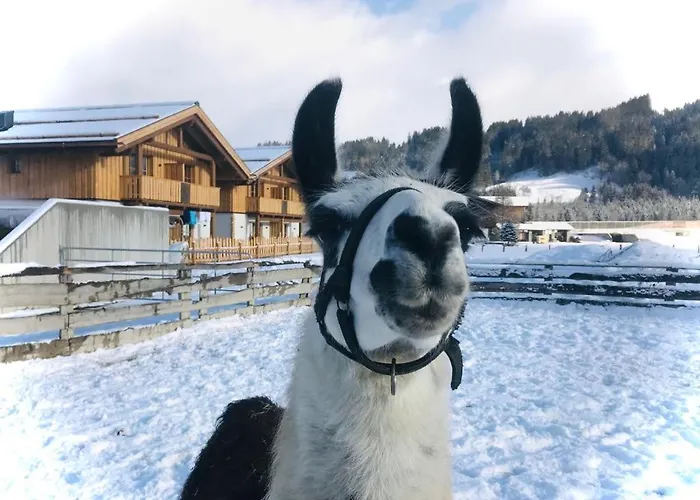 Sieglhub Chalets - Appartements - Hotel