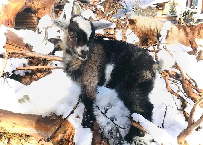 Sieglhub - - Hotel 3*